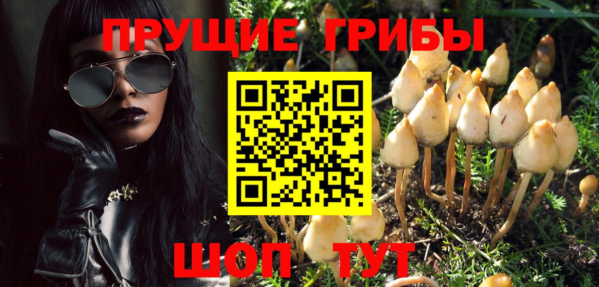 Кропоткин  Галлюциногенные грибы MAGIC MUSHROOMS  Вход с VPN 