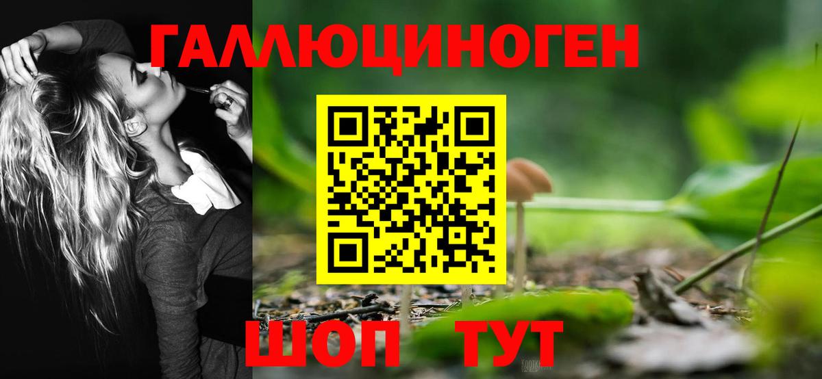 Галлюциногенные грибы Psilocybine cubensis Кропоткин